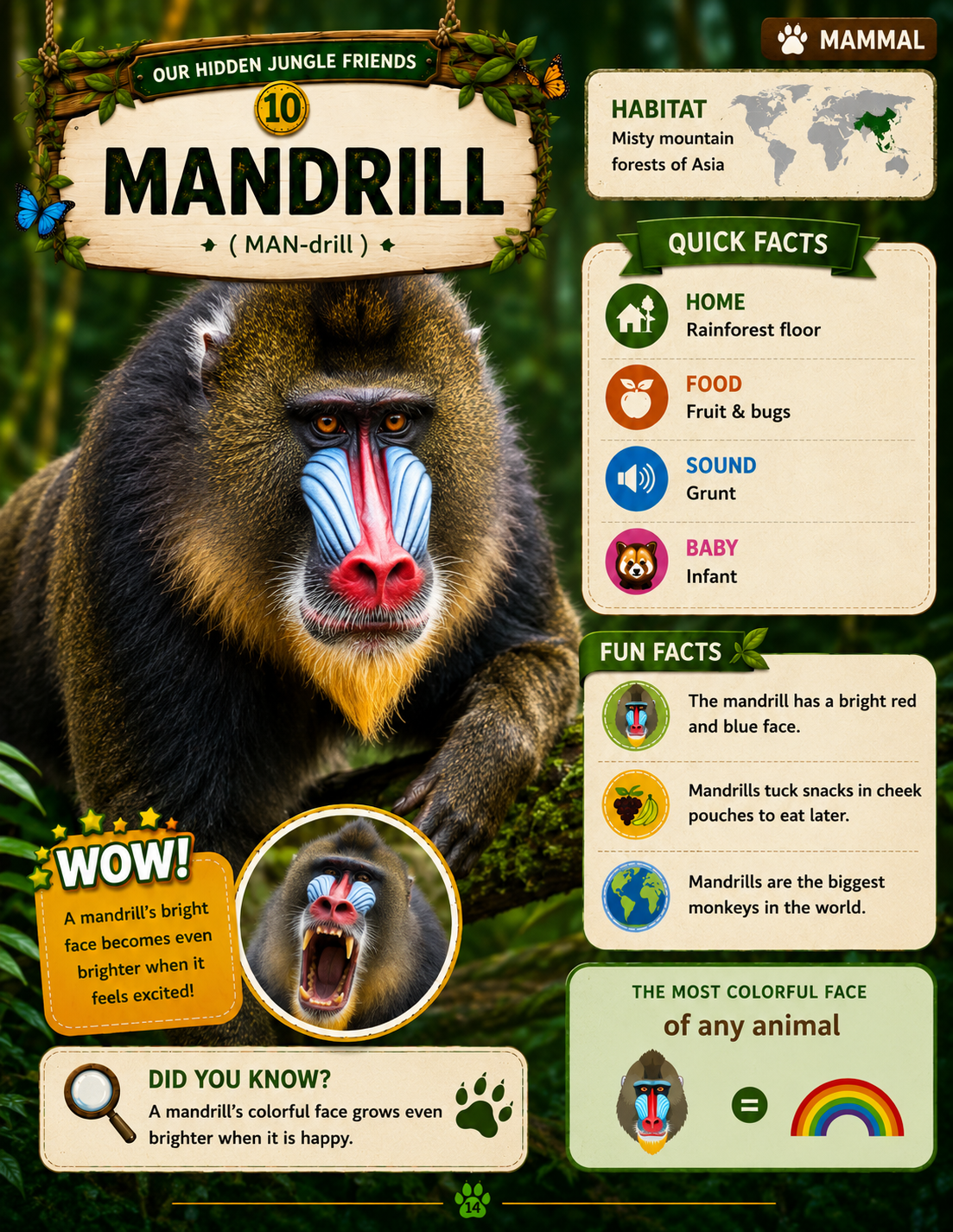 Volume 3 inside page — animal fact card